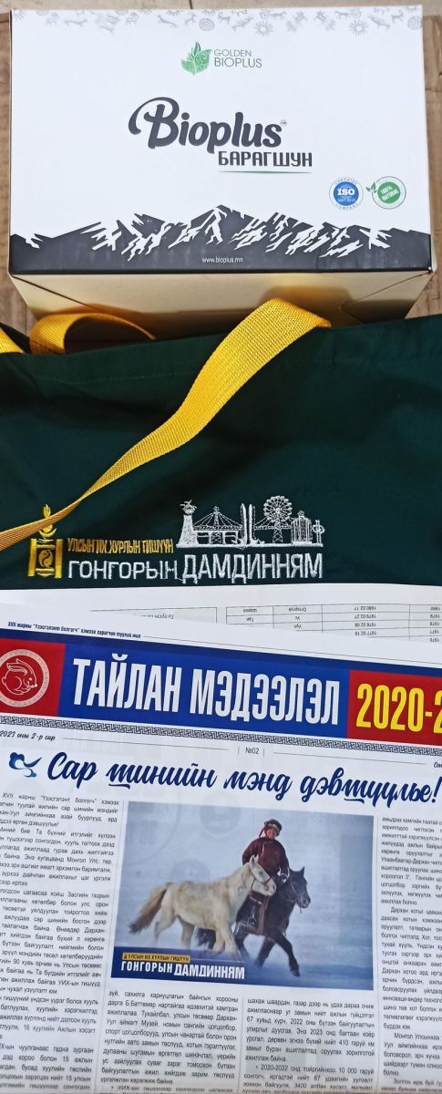 Гишүүний шинж төлөв Гонгорын Дамдинням